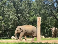 -北京野生动物园