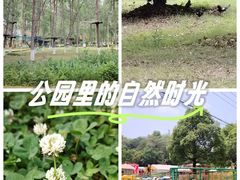 -佛手湖郊野公园