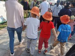 -上海长兴岛郊野公园