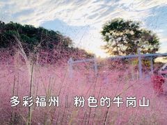 -牛岗山公园