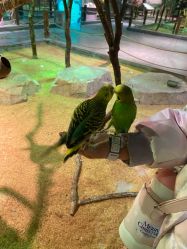 -酷嗒动物文化乐园(cutezoo西溪乐天城店)