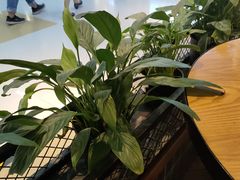 -KPRO(朝阳大悦城店)
