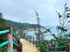 -广东惠东海龟国家级自然保护区