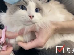 -comecome来吧宠物(奥克斯中心店)