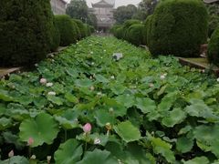 -四川大学(华西校区)