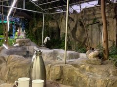 -云南滇池花园国际大酒店温泉