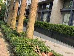 -跨越足界Spa足道(潍坊店)