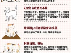 -艾吉宠物医院·疑难杂症转诊中心·猫友好(碧江路院)