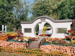 -上海共青森林公园