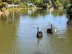 -森波拉奇妙世界