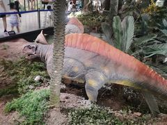 -湖南省地质博物馆