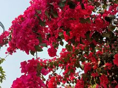 -华南国家植物园-售票处