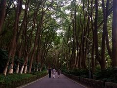 -上海市保健医疗中心(华东疗养院)