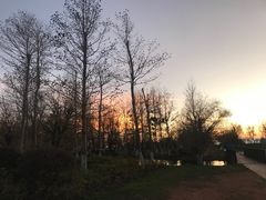 -呈贡滇池生态湿地公园