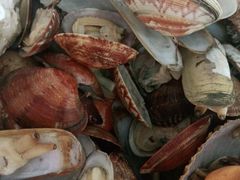 -港畔赶海蒸汽海鲜烧烤自助(仙螺岛店)