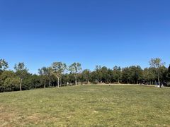 -北京西山国家森林公园