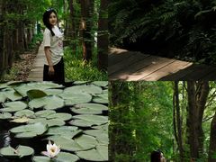 -同里国家湿地公园