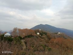-紫金山天文台
