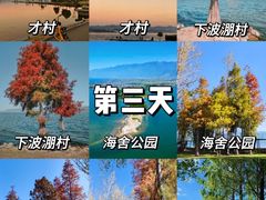 -喜洲翰林餐厅(董家百年老宅店)