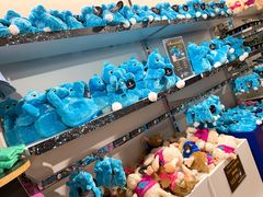 -怀托摩萤火虫洞