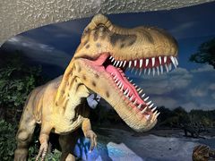 -大同煤炭博物馆