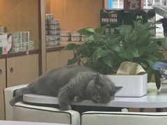 -贝利宠物医院·骨科·眼科·肿瘤转诊中心(南坪诊疗中心)