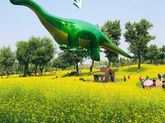 -长白岛森林公园