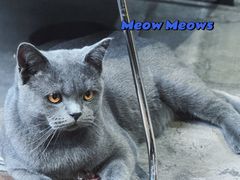 -IN COFFEE LAB 隐咖啡