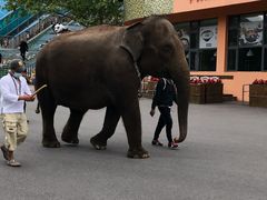 -大连森林动物园