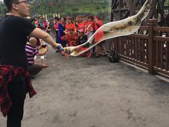 -枫香湖儿童公园