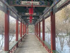 -迎泽公园