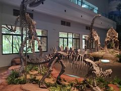 -自贡恐龙博物馆