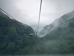 -少华山国家森林公园