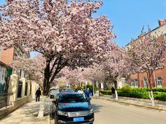 -天津五大道文化旅游区