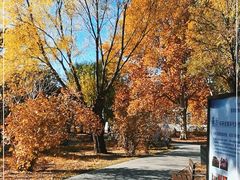 -国家植物园南园