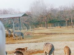 -西安秦岭野生动物园