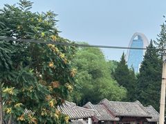 -团结湖公园