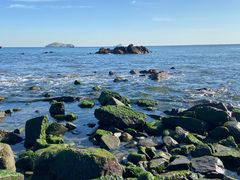 -星海湾跨海大桥