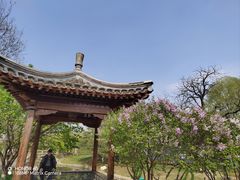 -北京明城墙遗址公园