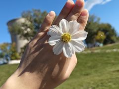 -三亚胜意海景酒店·海鲜自助餐厅(三亚湾路店)