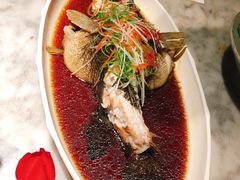 -辛香汇·现炒川菜(淮海路百盛店)
