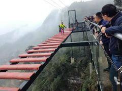 -梦幻奥陶纪景区