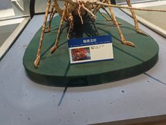 -棒棰岛宾馆景区