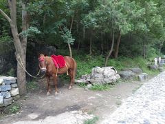 -孤山寨风景区