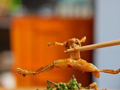 -嘎嘎鸭脑壳江湖菜(五里店)