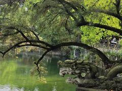 -忠山公园