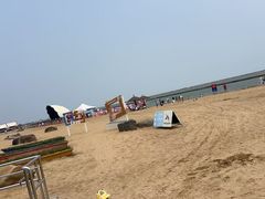 -碧海金沙