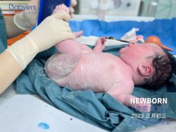 点击看大图 -杭州贝瑞斯美华妇儿医院·早孕·产检·儿科