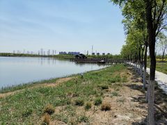 -天津东丽湖风景区