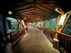 -海口观澜湖火山温泉谷